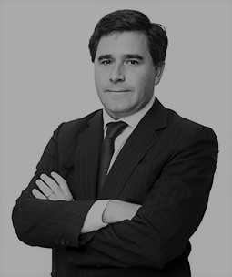 Ricardo Irarrazaval